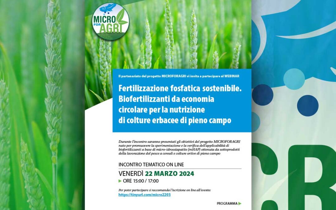 VIDEO / Fertilizzazione fosfatica sostenibile. Biofertilizzanti da economia circolare per la nutrizione di colture erbacee di pieno campo