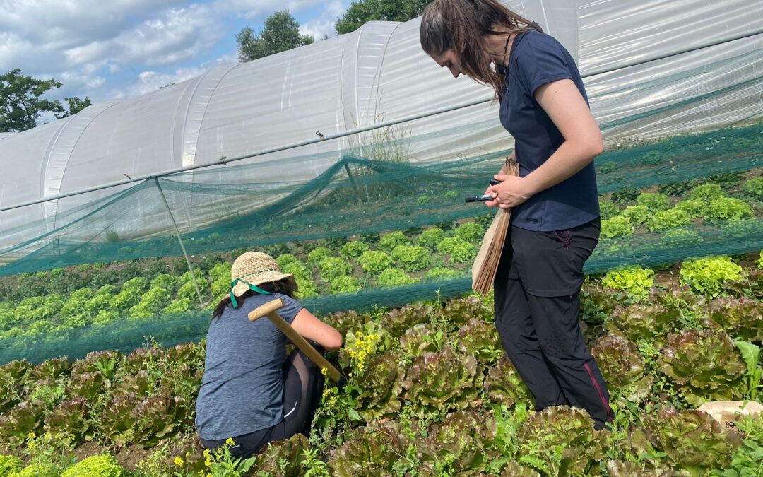 L’attività del progetto MicroForAgri, gennaio-maggio 2024