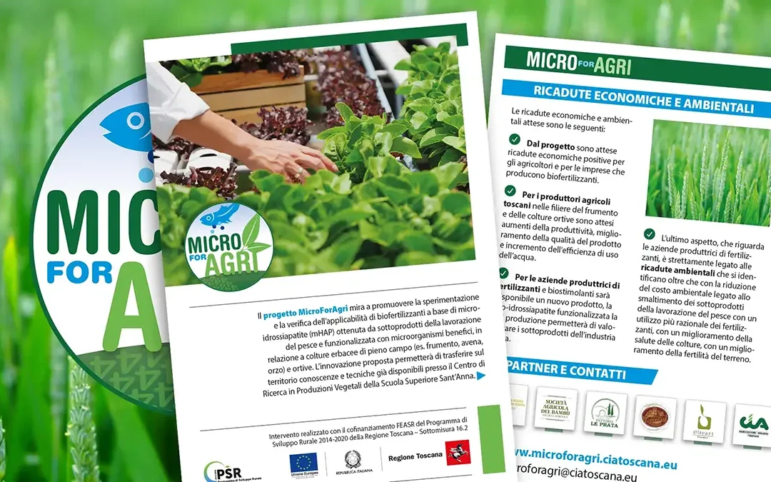 La brochure del progetto MicroForAgri. Il file scaricabile in PDF